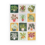 Houseplants Puzzle Jigsaw Puzzle