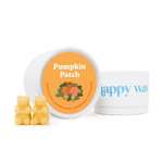 Pumpkin Patch Wax Melts