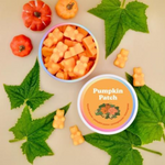 Pumpkin Patch Wax Melts