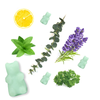 Eucalyptus Spearmint Wax Melts